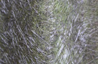 Upper Farmcote fibreglass roof work